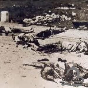 مجزرة كفر حسينية