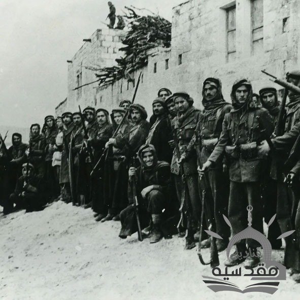 دخول الجيوش العربية لفلسطين